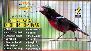 Download lagu 🛑KONIN GACOR FULL TEMBAKAN‼️MASTERAN KOLIBRI NINJA BAHAN AGAR NEMBAK ISIAN TONJOLAN MEWAH🛑LIVE🎥 mp3 Download lagu 🛑KONIN GACOR FULL TEMBAKAN‼️MASTERAN KOLIBRI NINJA BAHAN AGAR NEMBAK ISIAN TONJOLAN MEWAH🛑LIVE🎥 mp3