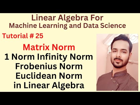 Tutorial 25 Matrix Norm in Linear Algebra | 1 Norm Infinity Norm Frobenius Norm Euclidean Norm