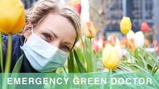 Manhattan’s Empty Offices: An Emergency Rescue For Abandoned Plants