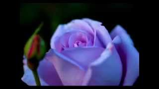 G  EXTERMINADOR   SÓLO TÚ