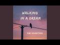 Walking in a Dream