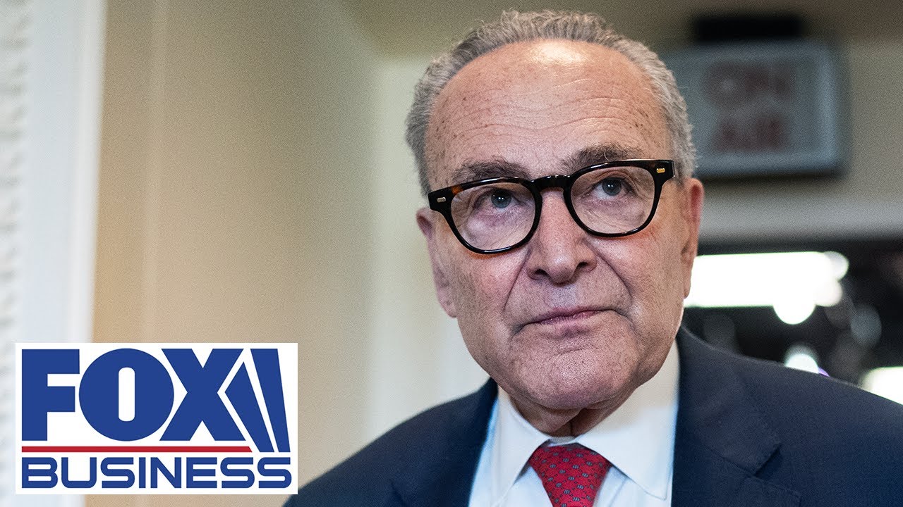 ‘SHOULD BE REPLACED’: Dem rep TORCHES Schumer in stunning rebuke