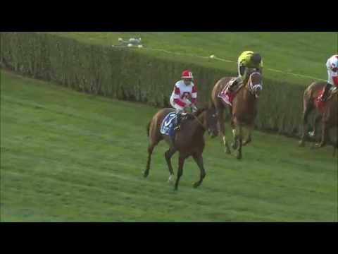 Big Blue Kitten wins Joe Hirsch Turf Classic