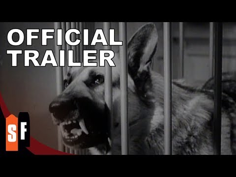 Monster on the Campus