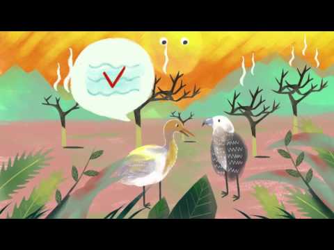族語夢工廠II-撒奇萊雅語-15魯凱族動畫 白冠鷺