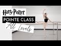 Harry Potter Pointe Class | ALL LEVELS | Strength, Articulation, & Leg Stamina | Kathryn Morgan
