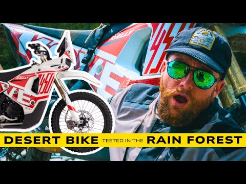 Kove 450 Rally Review After 1000 Miles – Real Talk From the Trail