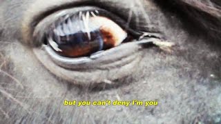 The Incredible String Band -You Get Brighter- 432 Hz