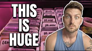 You're Pulling Orders WRONG – This Is Costing You Hours Every Week