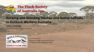 preview picture of video 'Keeping and Breeding Finches and Softbills in Outback Western Australia - Gary McCrae'