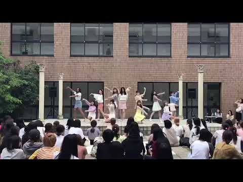 190702 IZ*ONE(아이즈원) - Violeta(비올레타) dance cover
