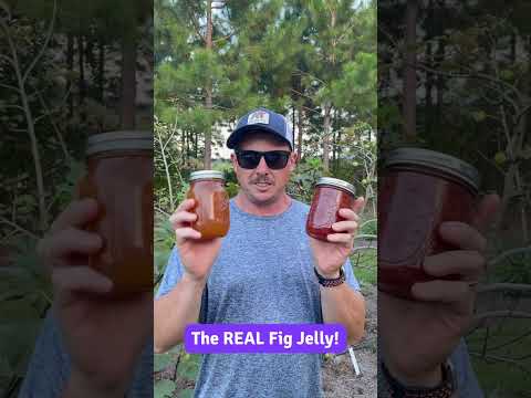 Don’t Ruin Your Jelly with This!