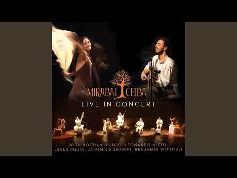 Canción De La Vida - Sat Gurprasad (En Vivo) (Bonus Track)