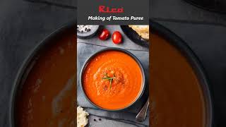 Download lagu How to Make Tomato Puree | Hand Blender & its uses mp3