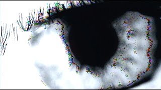 Elohim &amp; Whethan - Sleepy Eyes (Lyric Video)