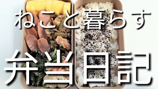ねこと暮らす前日作り置き弁当日記です