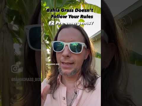 Pre-emergent herbicide isn’t a thing for Bahia lawns in most cases.  #lawn #bahiagrass #diylawncare