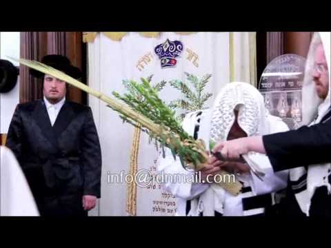 Sukkos 5774 In Karlsburg