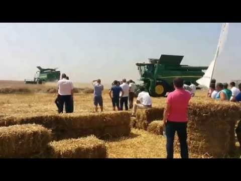 1. Demo Popânzăleşti, Jud Dolj