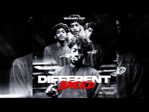 Shawn Eff x Mike Sherm x DaBoii x EBK Young Joc x MGM Flash - Hottest Out