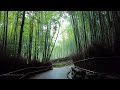 KYOTO Heavy Rain Walk - Around Arashiyama Kyoto Japan | 4K ASMR | Binaural Rain Ambience