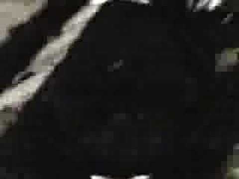 Twisted System "Beautiful people"