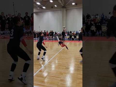Delaney Moon AVBC Highlights #libero #volleyball #pancake #dolphindive #shorts #delaneymoon