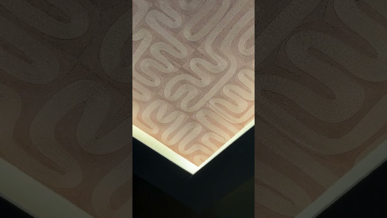 Vidéo externe