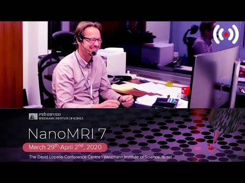 [NanoMRI7] Andreas Heinrich - Electron Spin Resonance of Single Atoms on a Surface Observed with STM