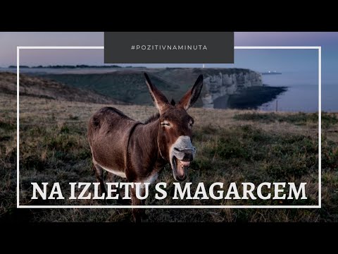 Pozitivna minuta [#30] - NA IZLETU S MAGARCEM