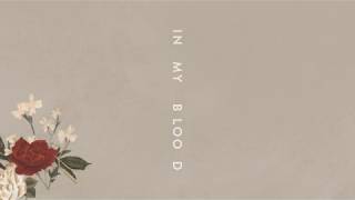 Shawn Mendes - In My Blood (Audio)