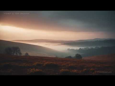 Dub Techno Mix - Reconstruct