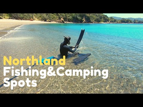 Best Fishing & Camping Spots in Northland, New Zealand