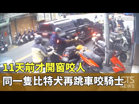 11天前才開窗咬人　同一隻比特犬再跳車咬騎士