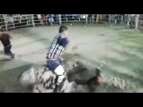 niño de  lagunilla VS el ahijado del diablo
