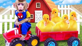 Five Little Ducks | Baby Monkey Nursery Rhymes & Kids Songs