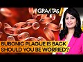 Gravitas Man Dies From Bubonic Plague In New Mexico