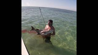 Download lagu World's Best Spearing Shot (Huge Cobia) Off Giant Bull Ray, #australia #culture #spearfishing mp3 Download lagu World's Best Spearing Shot (Huge Cobia) Off Giant Bull Ray, #australia #culture #spearfishing mp3