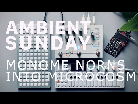 AMBIENT SUNDAY [40]: Monome Norns into Microcosm