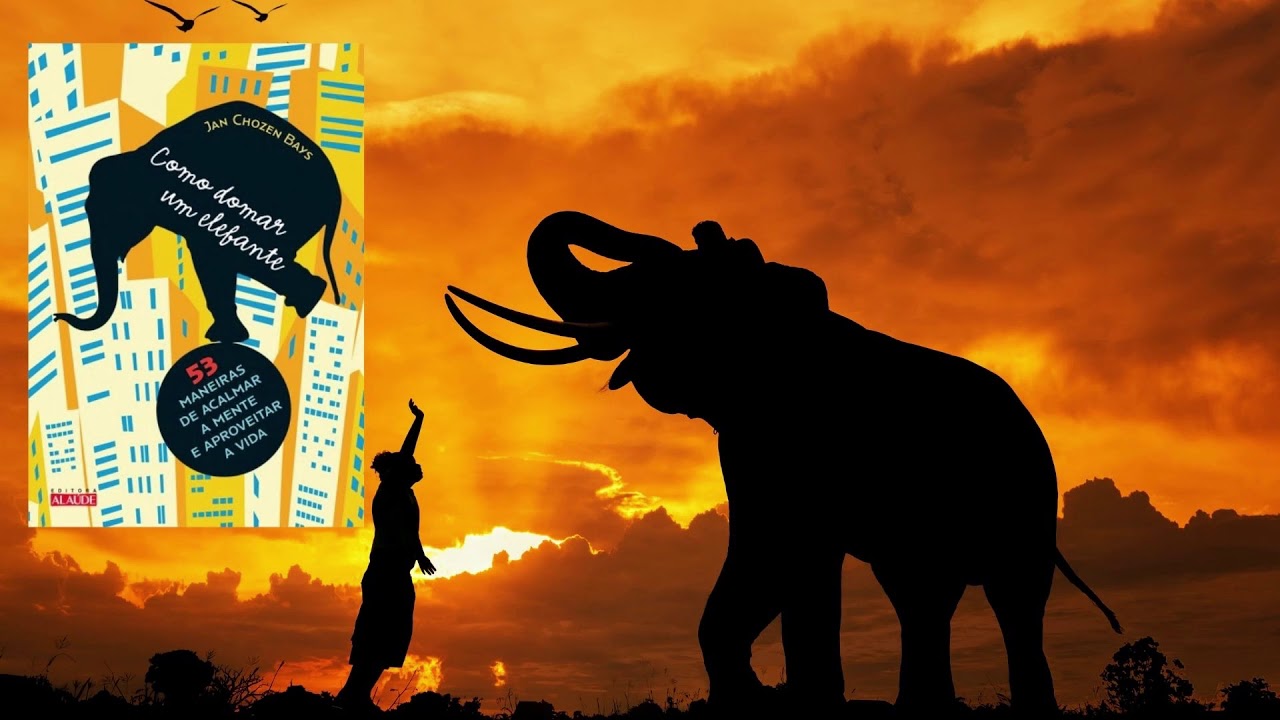 Como domar um elefante - Mindfulness - Jan Chozen Bays - Audiolivro
