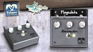 Video thumbnail for Palmer root effects - Herrenchor by Palmer
