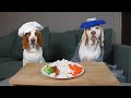 Dog Makes Food for Sick Friend: Chef Dog Potpie Cooks Maymo's Favorite Foods After Surgery!