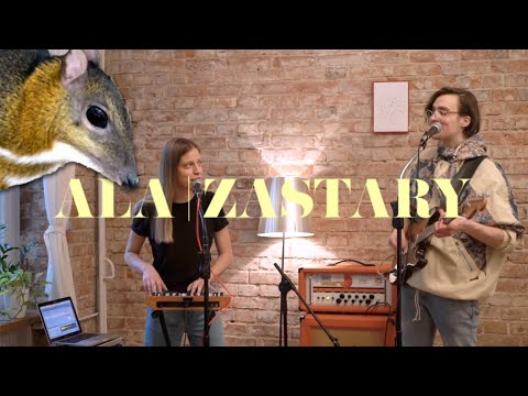 Myszojeleń (ALA | ZASTARY cover LIVE)