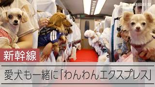 飼い犬と一緒に新幹線で旅行「わんわんエクスプレス」 JR東海が試験運行