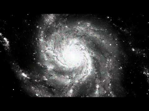 THE CAT / DE POES / LES CHATS