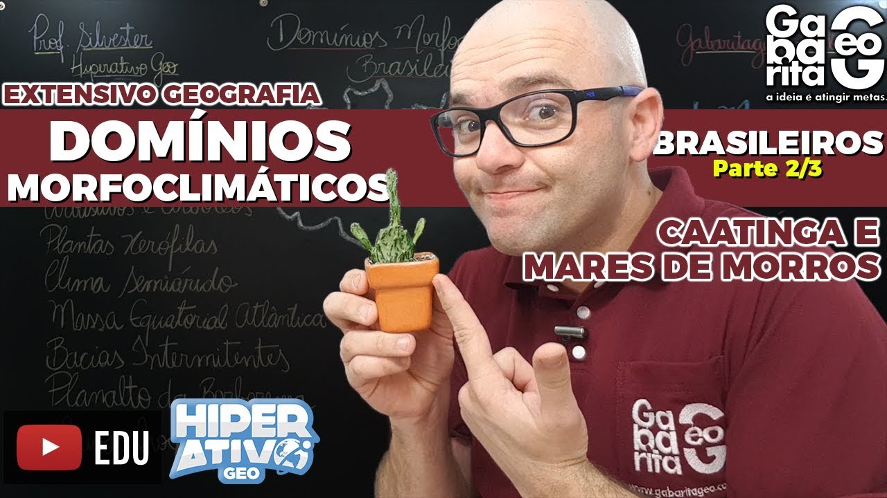 Geografia do Brasil - Domínios Morfoclimáticos Brasileiros 02/03 | Caatinga e Mares de Morros
