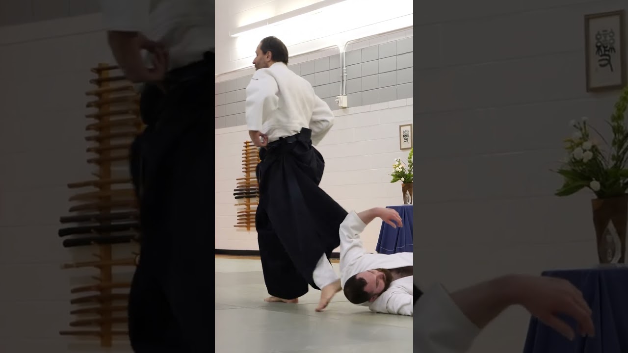 Aikido Guillaume Erard - Excerpt from a class in McGill University