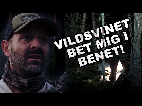 Dubbel succé! - Vildsvinsjakt på Ridön!