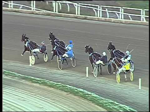 Trotto 22/11/2015 - 4° corsa