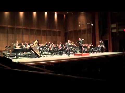 James Markey Carnival of Venice